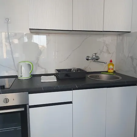 Nikola Ns2 شقة نوفي ساد