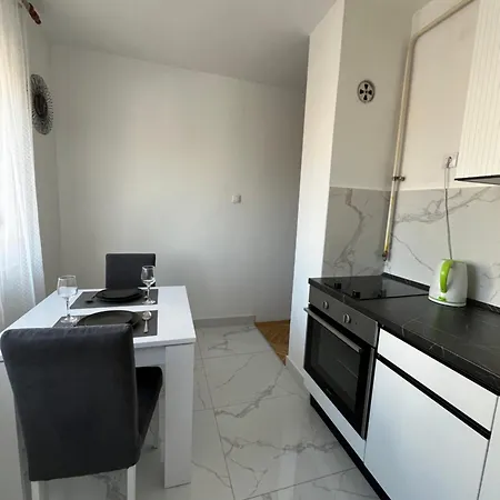 Nikola Ns2 نوفي ساد