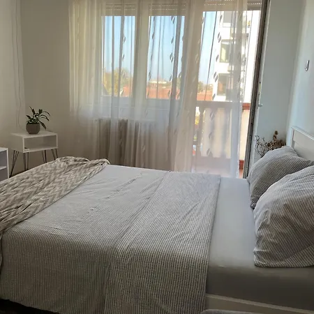 Nikola Ns2 شقة نوفي ساد